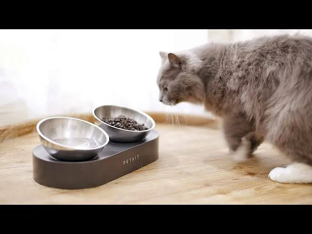 Petkit Fresh Nano Metal Adjustable Double Bowls